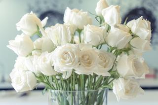 Szczęśliwe kwiaty na Dzień Kobiet