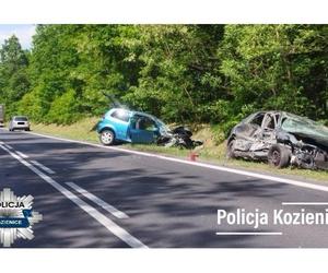 Wypadek na DK 79 w Bogucinie