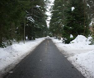 IMGW bije na alarm! Pogoda nie będzie miała litości. Gołoledź i wichury to nie wszystko