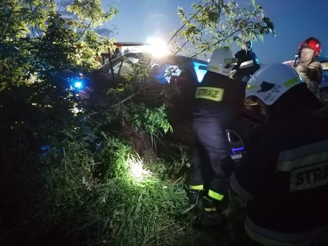 Pies wyskoczył wprost pod koła BMW. Matka z dziećmi zjechała do rowu [ZDJĘCIA]