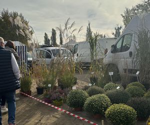 Niedzielny Targ - nowy pchli targ w Poznaniu