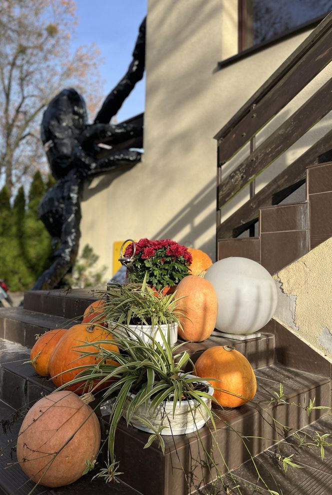 Gigantyczny pająk z plastikowych butelek ozdobił dom w Lublinie