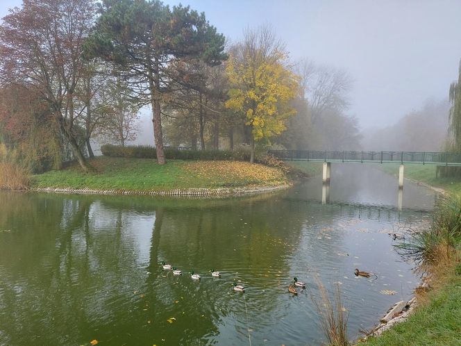 Zamojski Park jesienią
