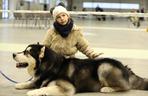 Międzynarodowa Wystawa Psów Rasowych w halach Targów Lublin