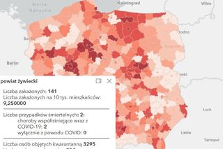 Koronawirus w województwie śląskim. Tak wygląda sytuacja w poszczególnych powiatach [RAPORT, 19 MARCA]