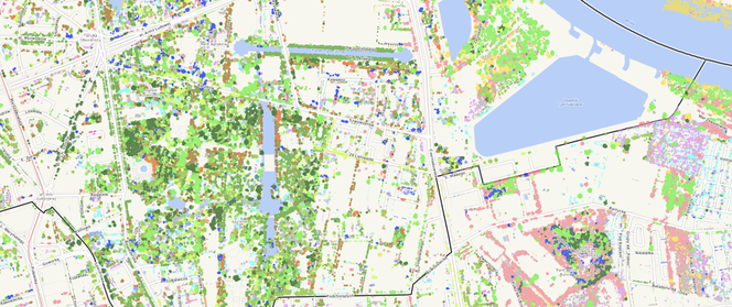 Ponad 7 milionów drzew... na mapie. W Warszawie powstała Mapa Koron Drzew 