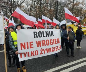Protest plantatorów tytoniu w Warszawie (3.11.2025)