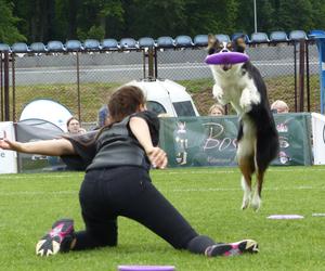 Na iławskim stadionie psy latały nad ludźmi. Dwudniowe zawody dog frisbee za nami