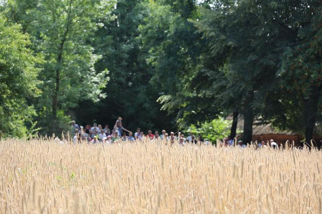 Tak wyglądało kiedyś żniwowanie na polskiej wsi