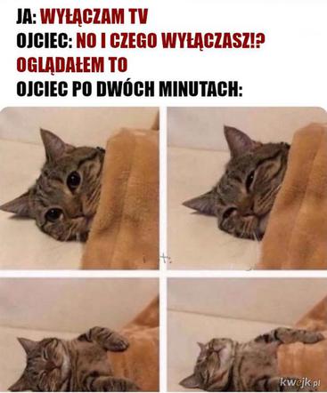 Memy na Dzień Ojca 2026. Zobacz najśmieszniejsze obrazki z tatą w roli głównej [GALERIA]
