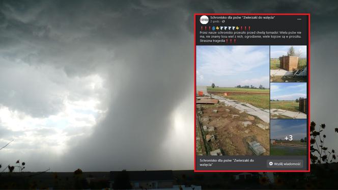 Trąba powietrzna uderzyła w schronisko! Potworne straty. Psy pouciekały! 