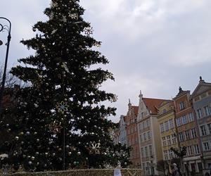 Zimowo i świątecznie w Gdańsku. Zobaczcie nasze zdjęcia!