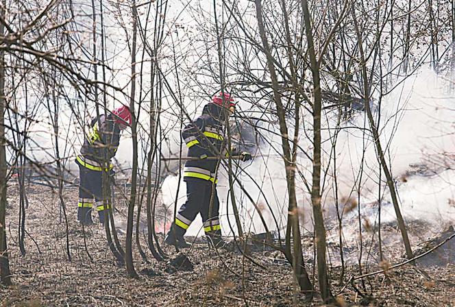 6 hektarów trawy w ogniu!