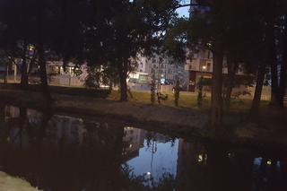 Odmulono staw w parku na osiedlu Słocina