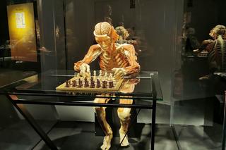 Wystawa BODY WORLDS