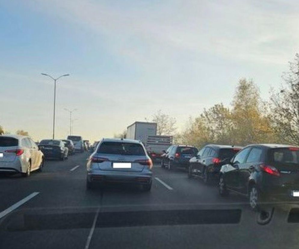 Ogromne utrudnienia na DTŚ w Świętochłowicach. Korek sięgał Rudy Śląskiej