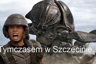 Szczecińskie kraby