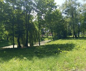 Parki podworskie w powiecie gdańskim