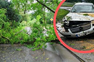 Drzewa spadały na auta. Potężne burze przeszły nad Polską