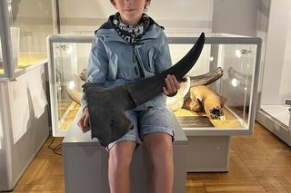 Sensacyjne odkrycie młodego Marcela! Czaszka żubra stepowego w Muzeum Ziemi w Warszawie