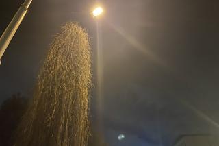 Upiorna latarnia we Wrocławiu