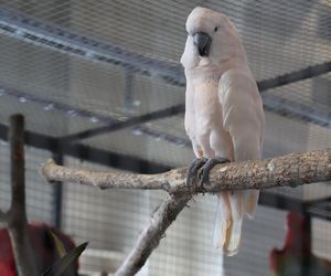 ZooPark ponownie przyciągnął do Targów Lublin tłumy miłośników zwierząt