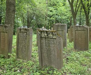 Cmentarz żydowski w Leżajsku