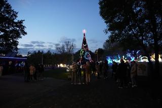 Ogród Świateł w Krakowie