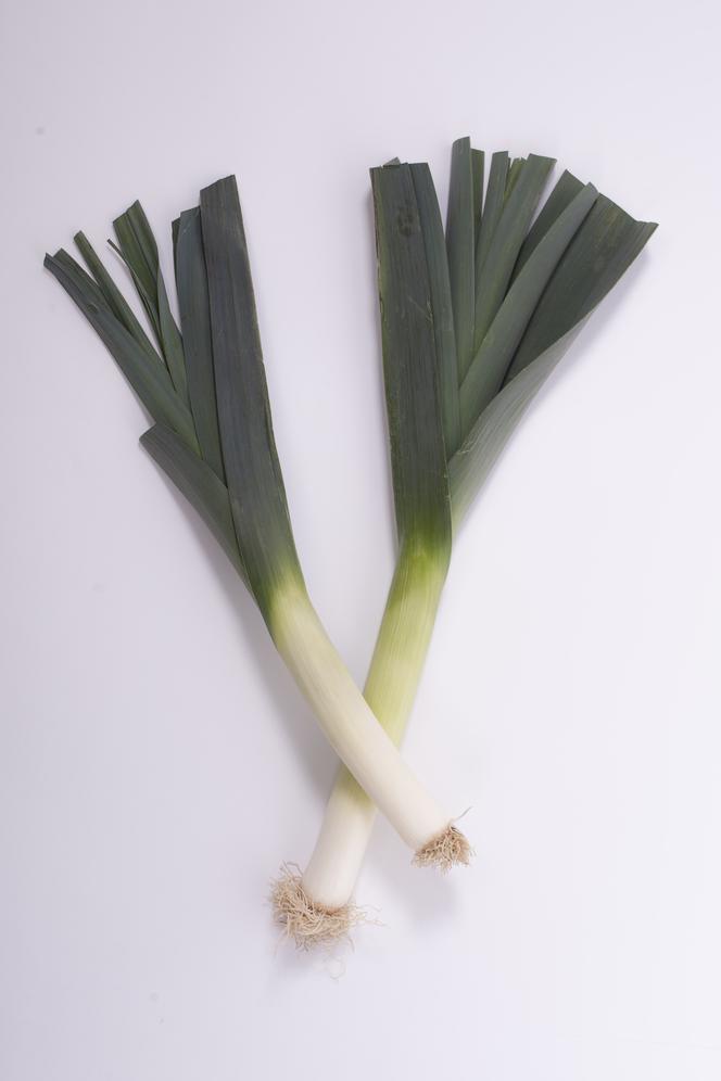 Chłoszczę piersi porami