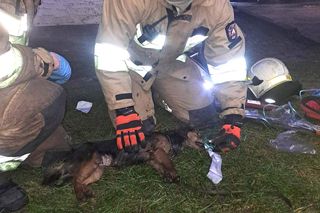 Zblewo. Bohaterska interwencja strażaków. Uratowali z pożaru cztery osoby i psa [ZDJĘCIA]