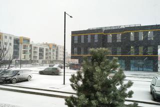 Śnieżyca we Wrocławiu i okolicach. Fatalne warunki na drogach 