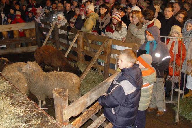 W Krakowie pojawiła się Żywa Szopka