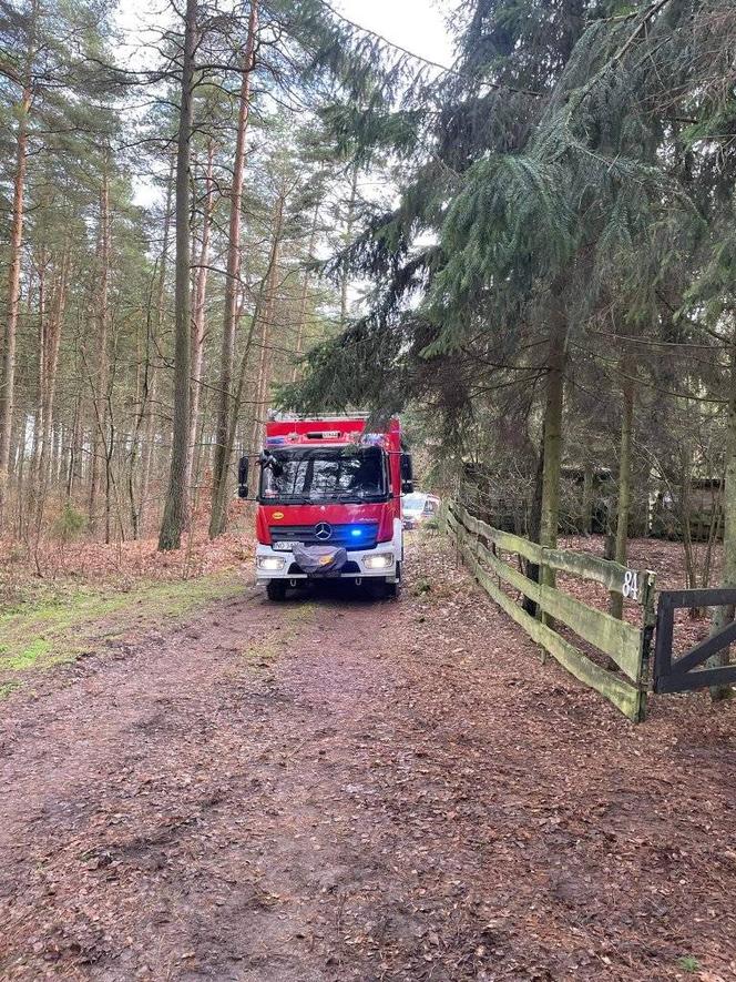 Martwy mężczyzna wisiał na drzewie! Koszmar pod Olsztynem