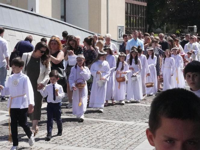 Procesja Bożego Ciała w Katowicach