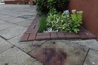 Nie zdążyła nawet zdjąć spodni! Dziewiąte dziecko urodziła pod kościołem