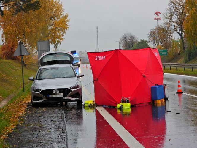 Zwłoki na drodze w Tarczynie. Policja szuka świadków