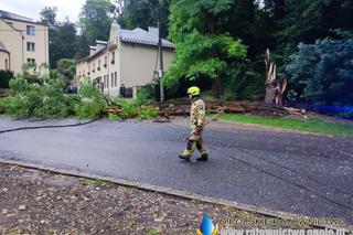 Burza na Opolszczyźnie. W Kędzierzynie-Koźlu wielkie zniszczenia
