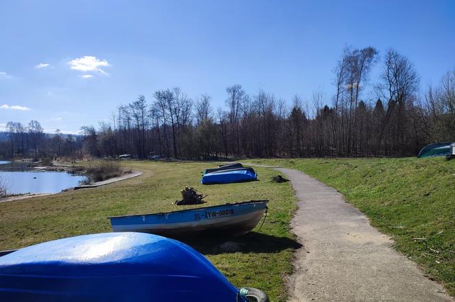 Ruszają prace przy kolejnym etapie ścieżki pieszo-rowerowej w Żywcu