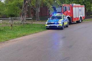 Wypadek w Miłostowie. Auto uderzyło w barierę i budynek