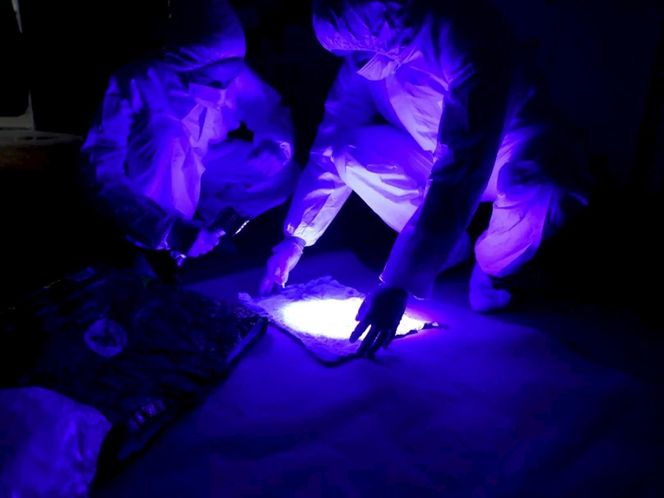 Zabił legendę podwarszawskich Ząbek metalową rurką. Lekarze byli w szoku. „Nigdy nie widzieli takich obrażeń”