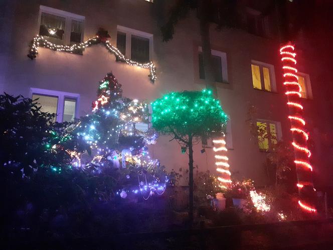 Świąteczna iluminacja bloku przy Niesiołowskiego 24 w Toruniu to już tradycja