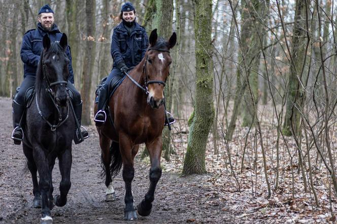 Policjantka wróciła na służbę