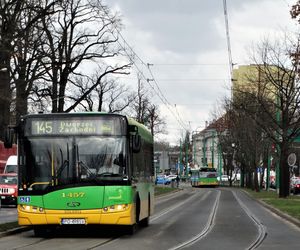 Dlaczego doszło do awarii autobusów wodorowych? Wszystko jasne! 