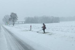 Spadł śnieg, w związku z tym drogowcy ruszyli... kosić trawę na poboczach!