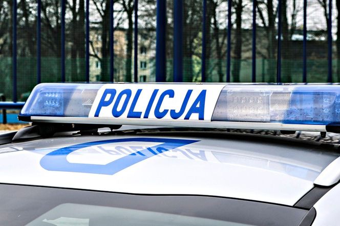 37-latka wiozła dziecko bez fotelika. To był dopiero początek jej problemów