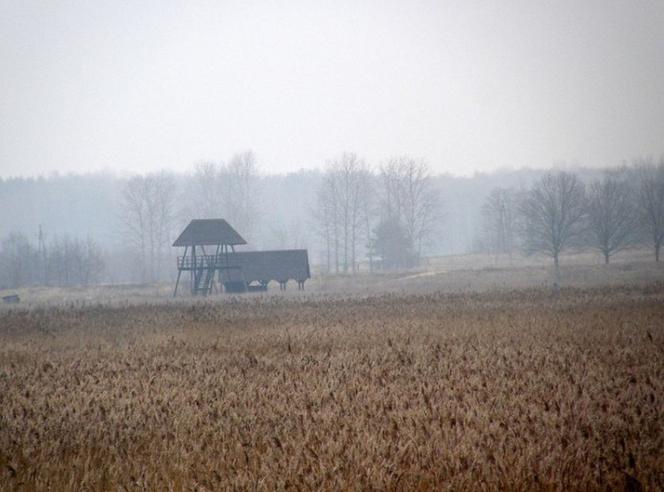 Kładka Śliwno-Waniewo. Niezwykła atrakcja pod Białymstokiem