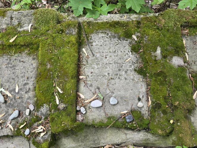 Cmentarz żydowski w Leżajsku