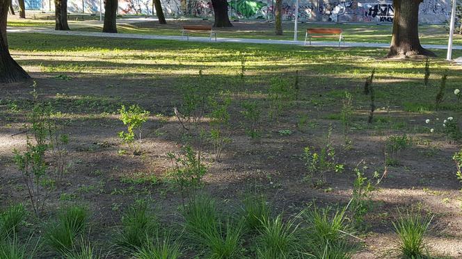 Park Jonstona gotowy, ale nadal zamknięty dla mieszkańców