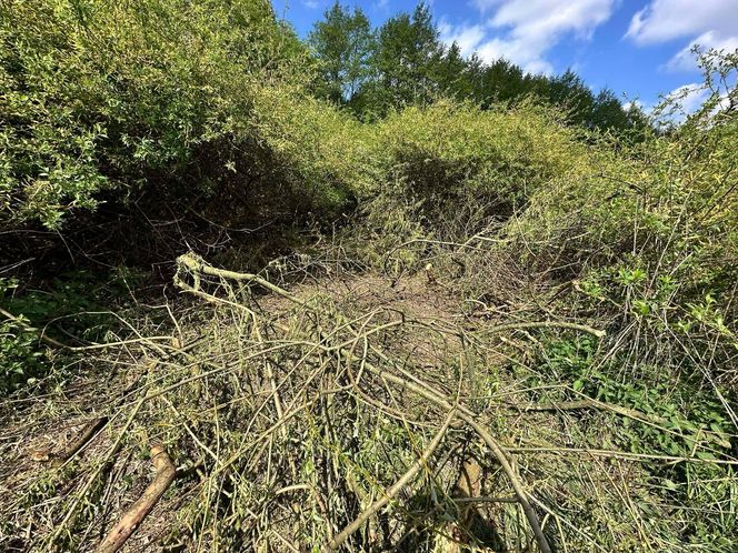 Zabił 16-letnią Maję z wyjątkowym okrucieństwem. Bartłomiej G. zatrzymany w Grecji