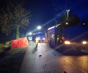 Śmiertelny wypadek pod Łęczycą. 21-latek uderzył w drzewo.